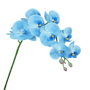 Natural real Touch Latex Moth Orchid Artificial Flower Butterfly orchid for decorative artificial flower