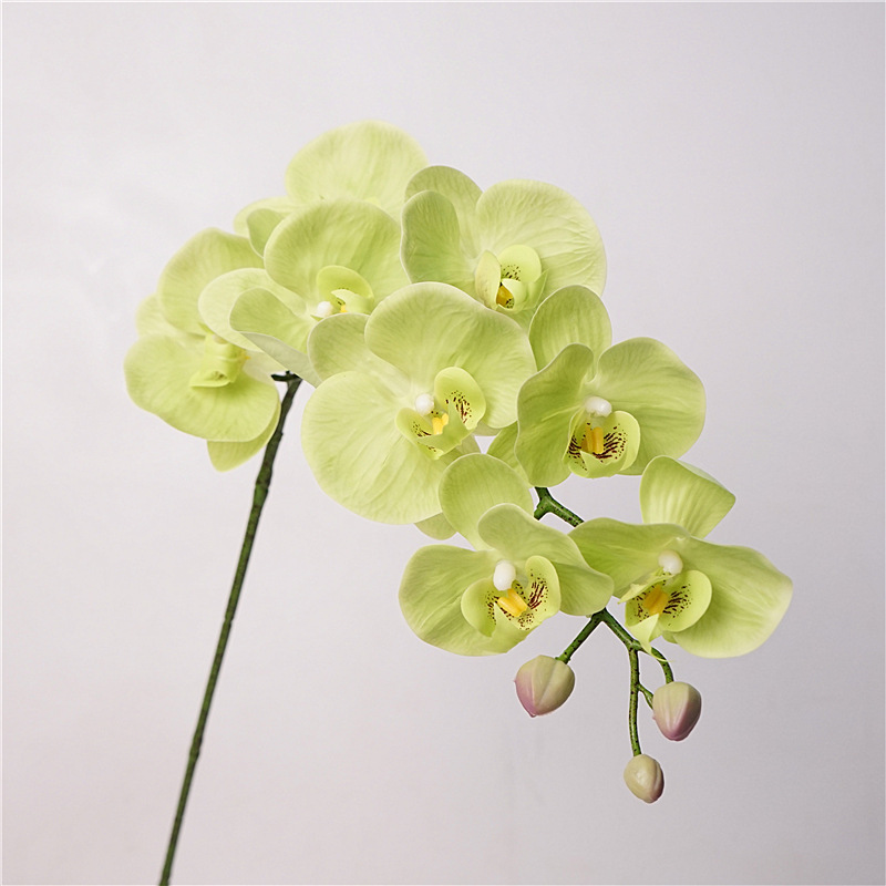 Natural real Touch Latex Moth Orchid Artificial Flower Butterfly orchid for decorative artificial flower