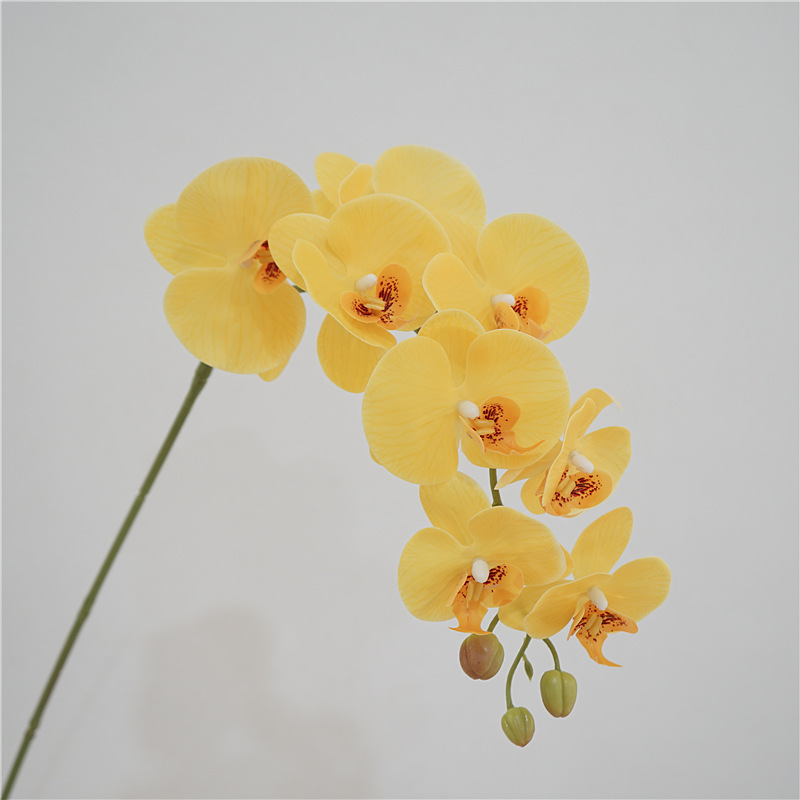 Natural real Touch Latex Moth Orchid Artificial Flower Butterfly orchid for decorative artificial flower