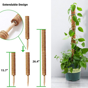 Total Poles  Climbing Supports Indoors Potted Moss Monstera Pole for Plants