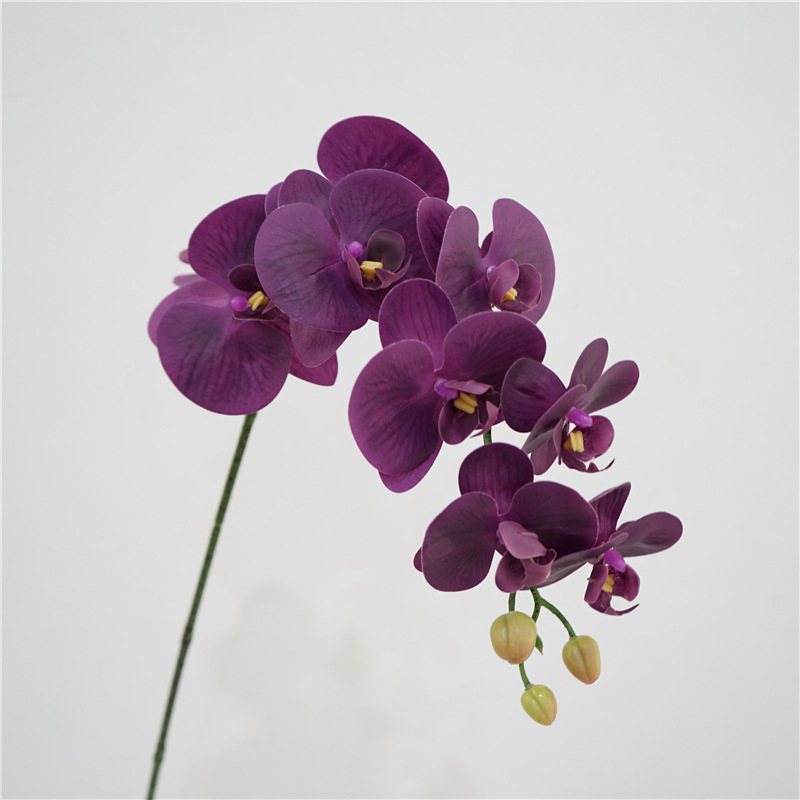 Natural real Touch Latex Moth Orchid Artificial Flower Butterfly orchid for decorative artificial flower