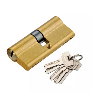 Cheap price cylinder lock with special key door cylinder  security door lock cylinder