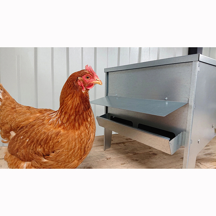 JH-Mech Chicken Feeder Port with Roof Convenient Comfortable Large Galvanised Feeders for Chickens