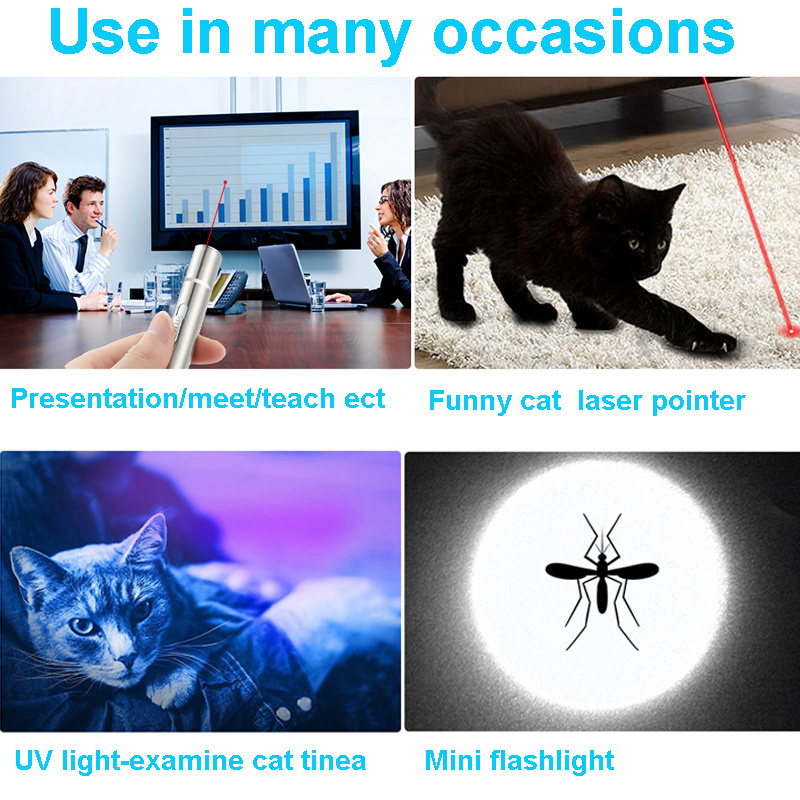 Eu Standard For Environmentally Friendly Hot Sale Vinyl Customized Toysusb Charge Laser Points Light Training Pet Cat Laser Mult