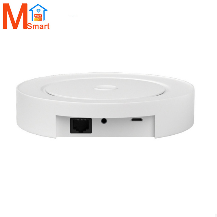 New Smart Multi-function Hub Zigbee BLE Sig Mesh Wifi Hub iot Wifi Zigbee Smart Gateway