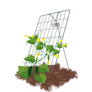 factory direct price cucumbers stakes with supporting climbing vines clips