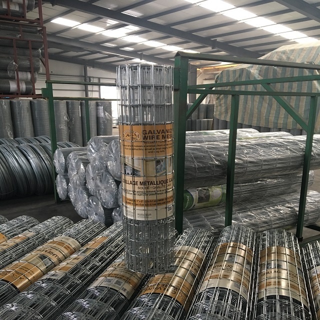 Welded Wire Mesh Fence Metal Wire Mesh Fence for Garden