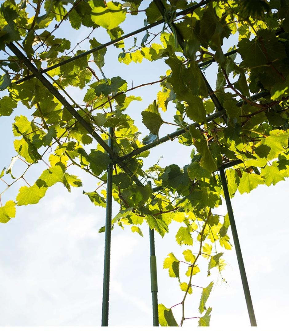 Sturdy Fiberglass Plant Sticks Stakes Supports