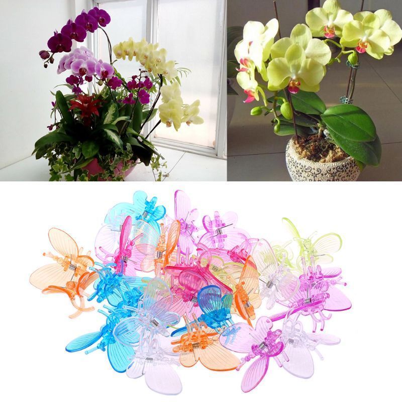 Vine Fix Clip Vine Support Orchid Clips Colorful Dragonfly Plastic Garden Plant Flower 30pcs/pack One OPP Bag Butterfly Support