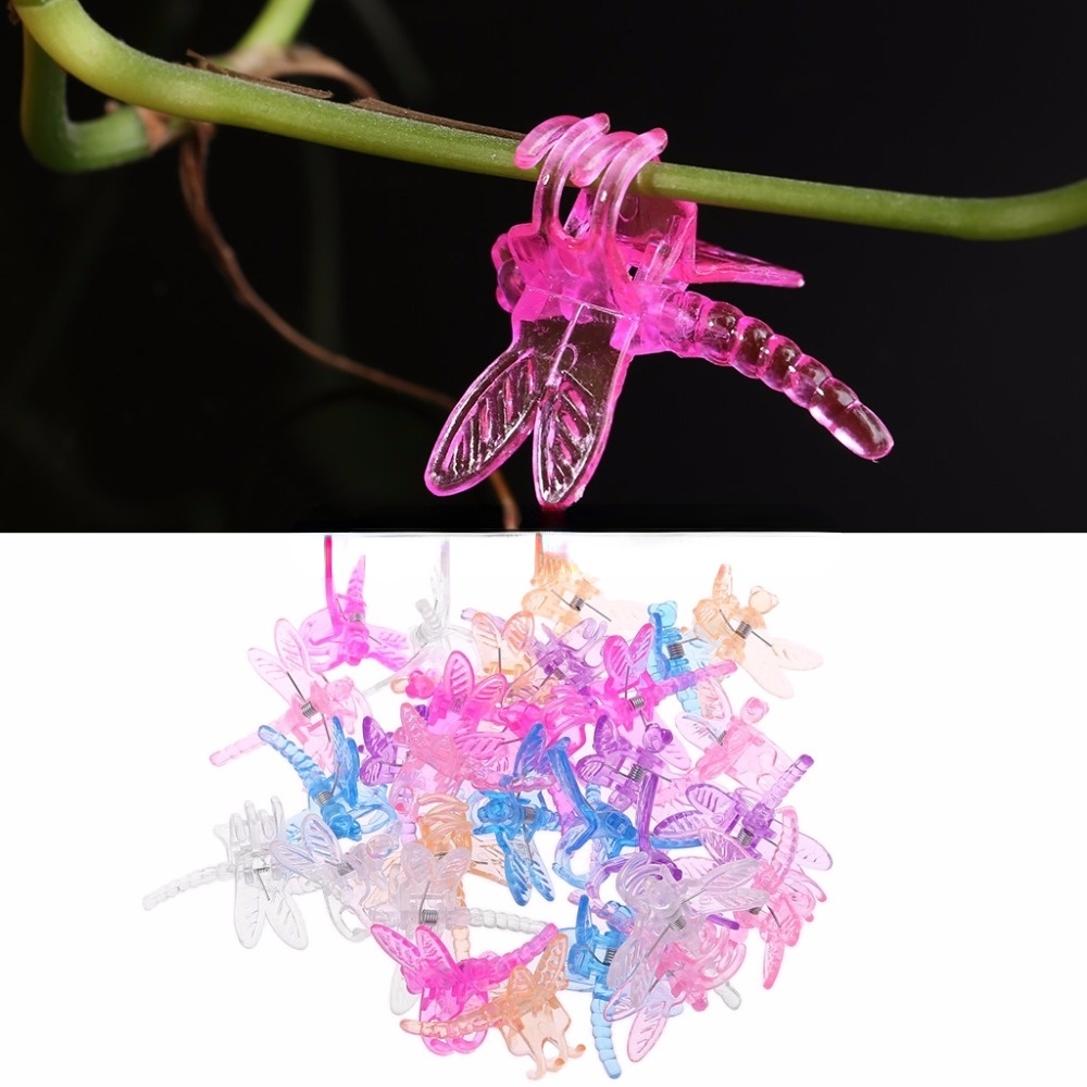 Vine Fix Clip Vine Support Orchid Clips Colorful Dragonfly Plastic Garden Plant Flower 30pcs/pack One OPP Bag Butterfly Support