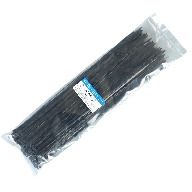 2024 New JAGASL Best Price  High Quality Self-locking Type PA66 PA6 Material Nylon Cable  Tie