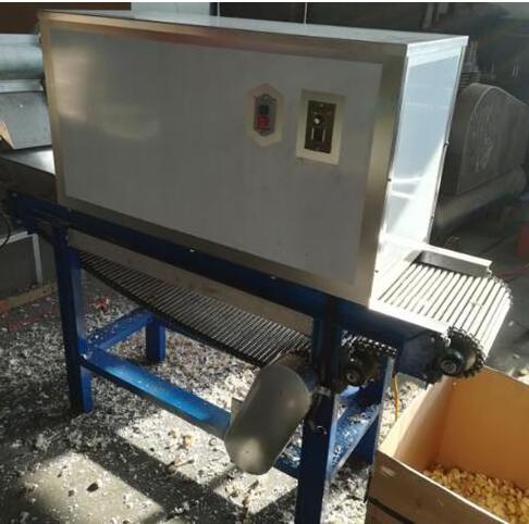 Automatic Chain type high efficiency Onion Peeling Machine/Onion Peeler