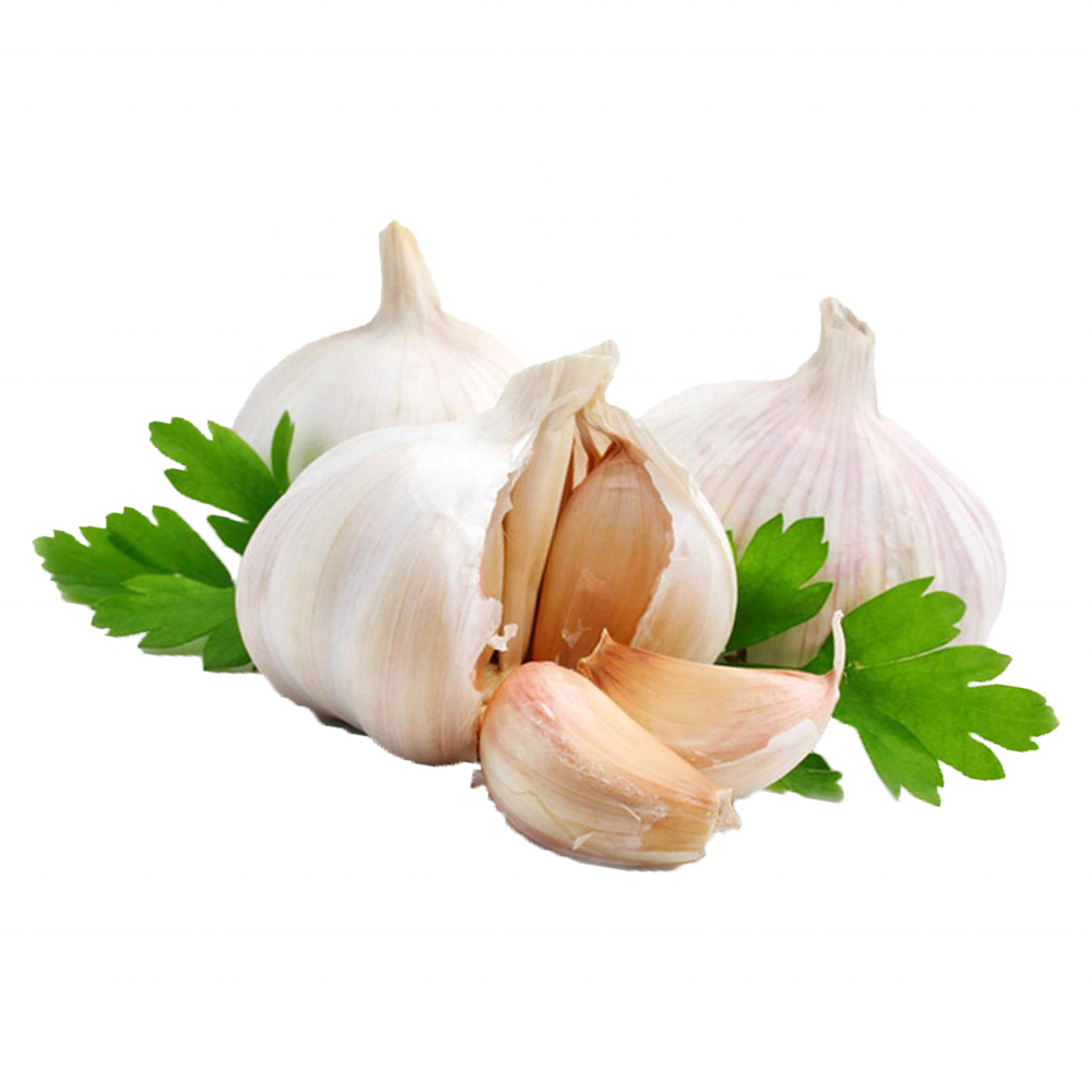 2023 Fresh New Chinese wholesale garlic vacuum peeled Garlic in bulk for import export in low price