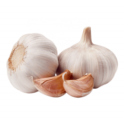 Solo Garlic Crop High Quality Fresh Garlic from Chinese Garlic Supplier for Wholesale Price