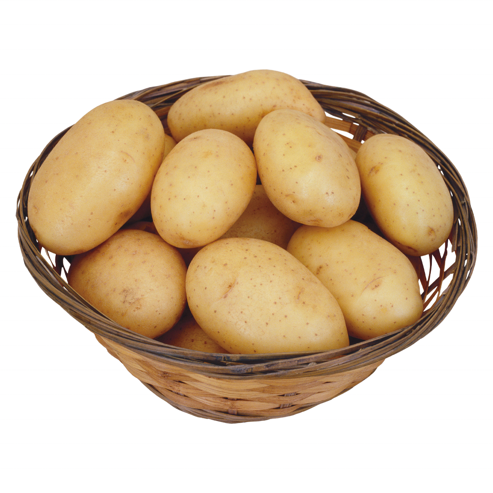 fresh potato price per ton For Wholesale High quality