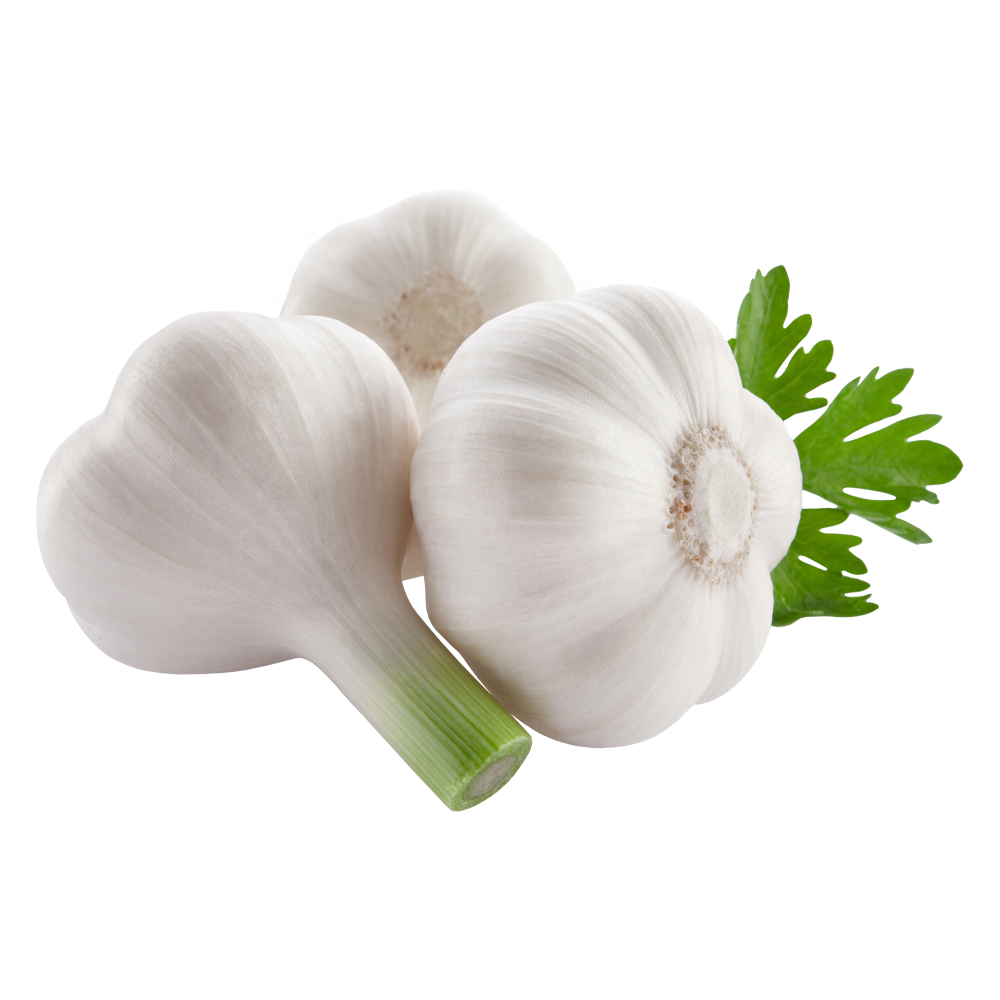 Solo Garlic Crop High Quality Fresh Garlic from Chinese Garlic Supplier for Wholesale Price