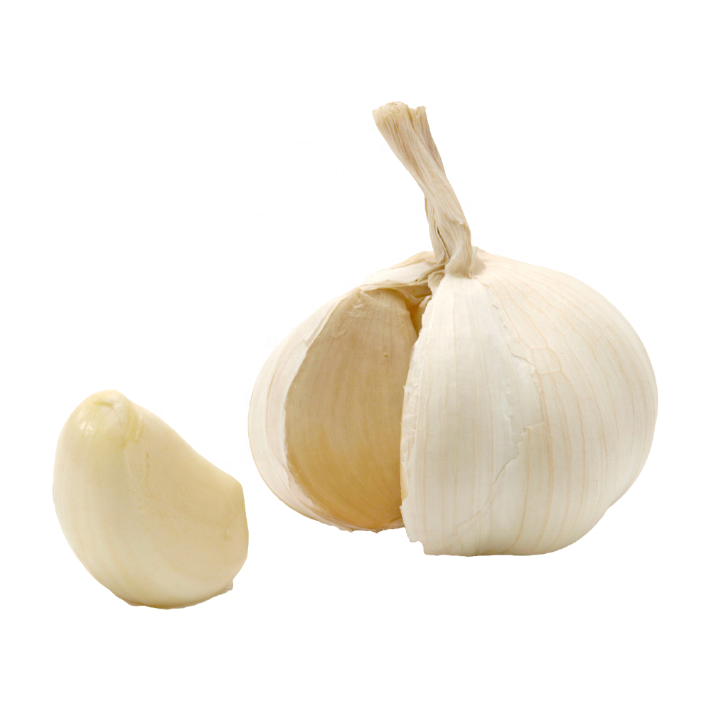 Fresh ajo garlic 2023 crop supply as garlic normal white and pure white alho from Chinese garlic supplier