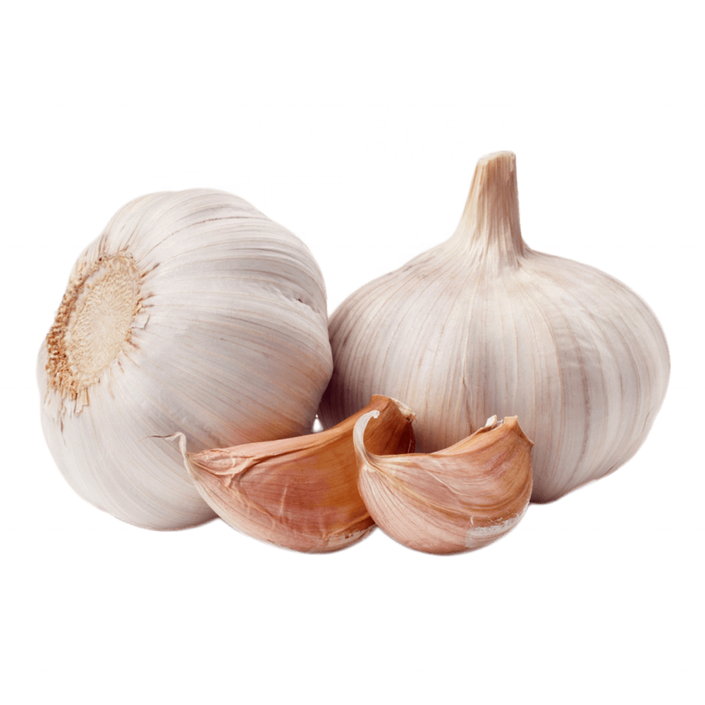 2023 Fresh New Chinese wholesale garlic vacuum peeled Garlic in bulk for import export in low price