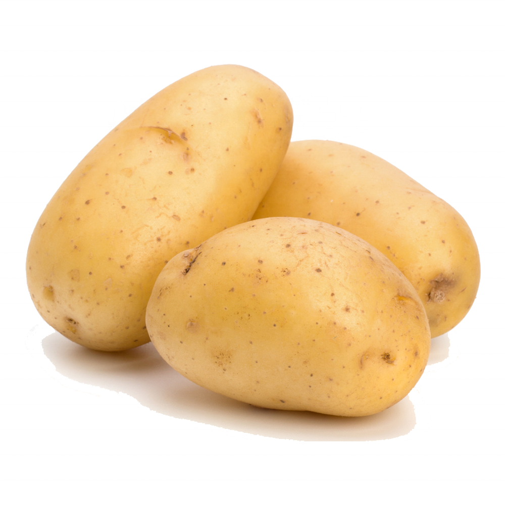 fresh potato price per ton For Wholesale High quality