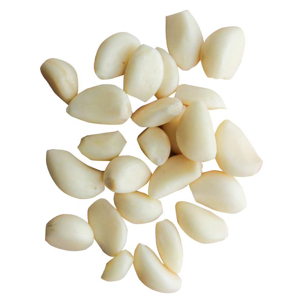 2023 Fresh New Chinese wholesale garlic vacuum peeled Garlic in bulk for import export in low price