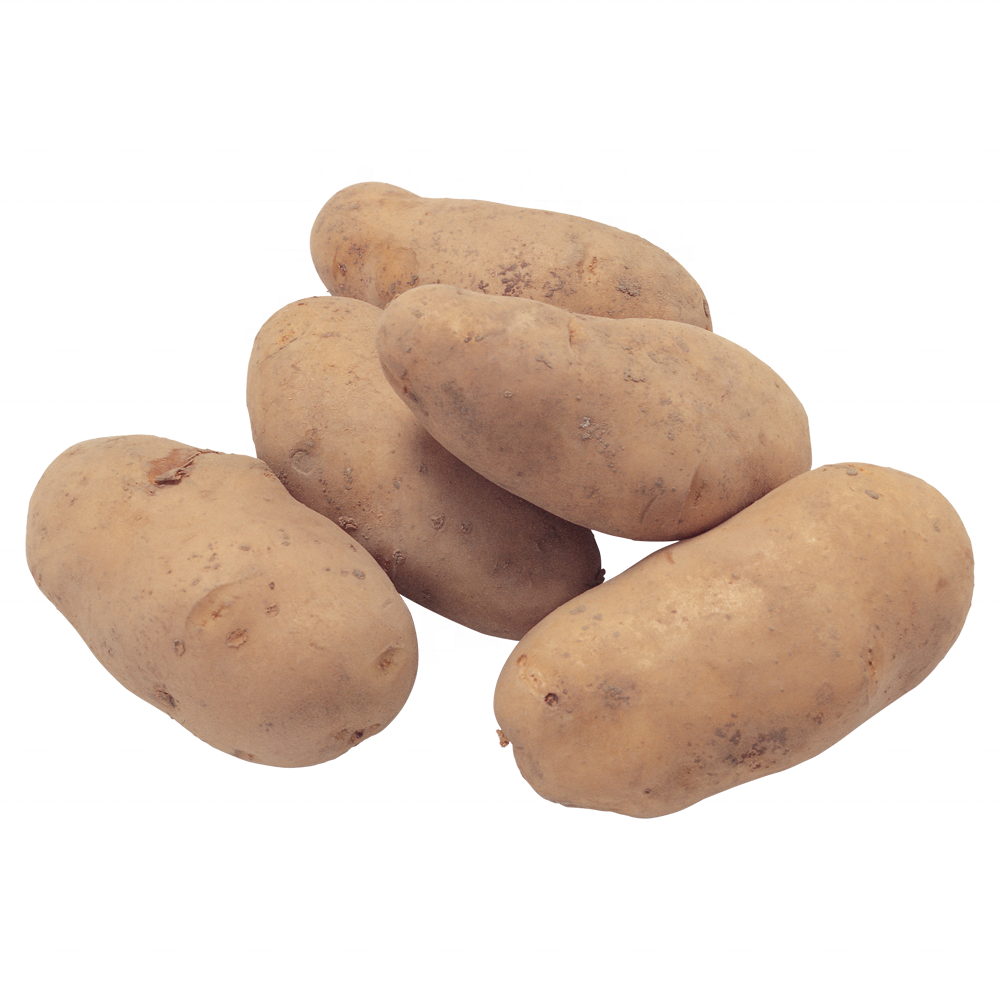 fresh potato price per ton For Wholesale High quality