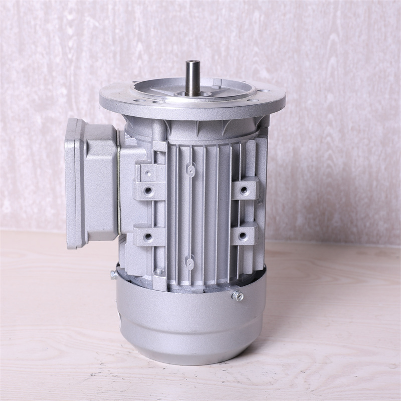 Exquisite Structure Manufacturing Insulation 3 Phase Three-phase Asynchronous Ac Motor