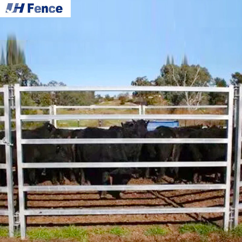 Used Cattle Panels for Sale Galvanized Farm Fence Panel Cattle Barriers Cheap Cattle Corral Panel