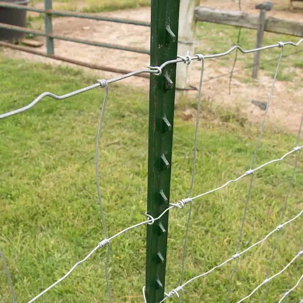 Vineyard Post Y Pickets Garden Steel Cheap Iron Fence Metal 12 Foot Posts Guard Picket Y-post for Sale Type Star Farm Fence