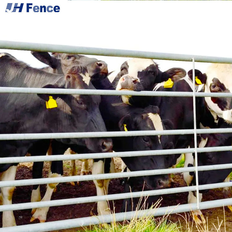 Premium Livestock Handling Cattle Panel Stock Handling Cattle Yard Corral Fence Panel