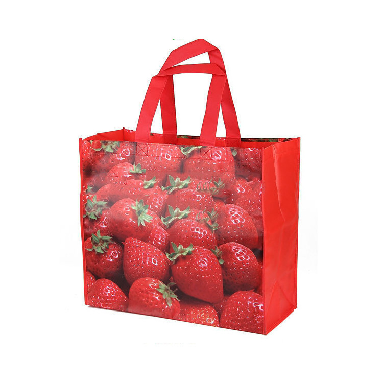 Custom High Quality Extra Large Capacity Laminated PP Woven Shopping Bag