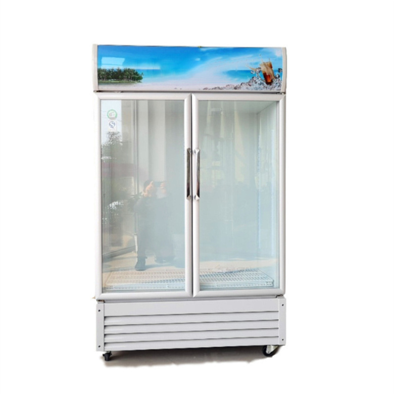 Good Price And Quality Display Cooler Refrigerator Display Refrigerators Baking Display Refrigerator Pepsi