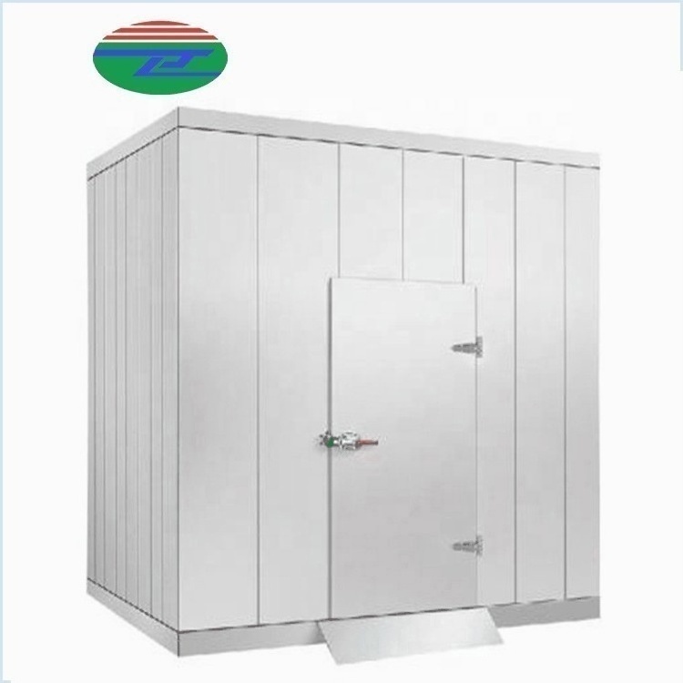 Meat Seafood Beef Chicken Walk In Chiller with Monoblock Unit