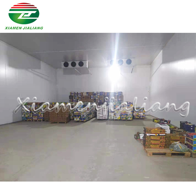 Long Refrigeration Unit For Trailer Cold Door Warehouse Cold Storage Sliding Door Parts