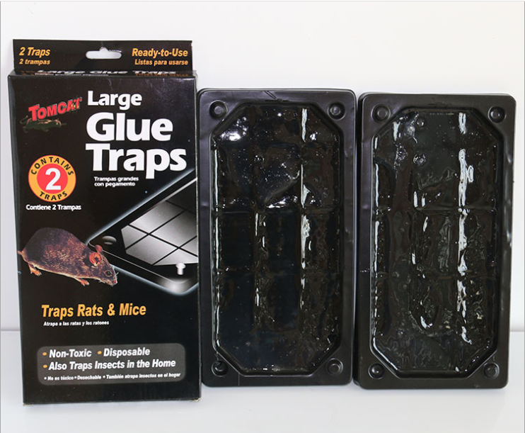 Hot Selling Large size Harmless to man Mouse mice plastic Glue Board Trap  Rat Glue Trap factory direct sell