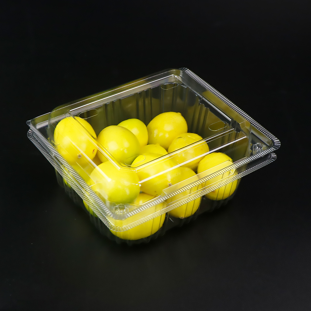 clear plastic clamshell fruit packaging box for salad