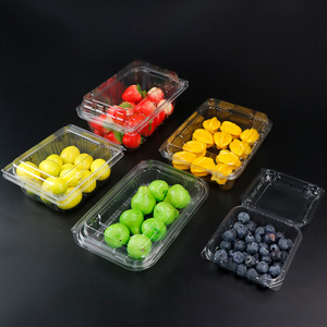 clear plastic clamshell fruit packaging box for salad