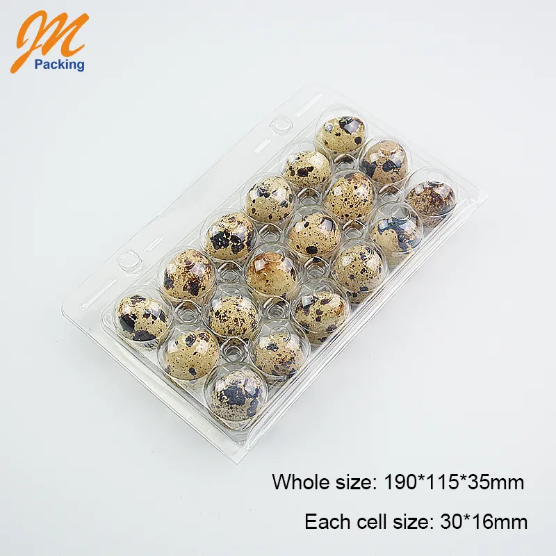 Wholesale 18 packs disposable quail egg cartons recyclable plastic egg tray