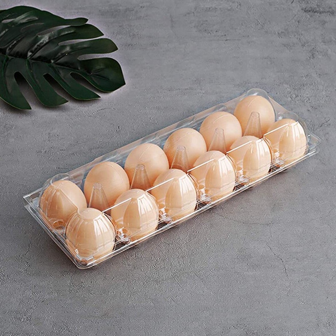 Wholesale Packaging For Chicken Eggs 30 Holes Pet Shockproof Plastic Chicken Egg Tray Packaging Box 12 Hole