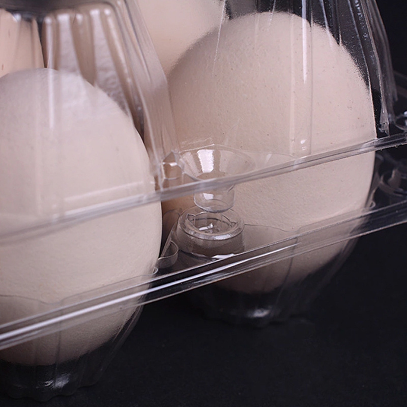 Wholesale disposable plastic 12 cell eggs carton chicken eggs tray