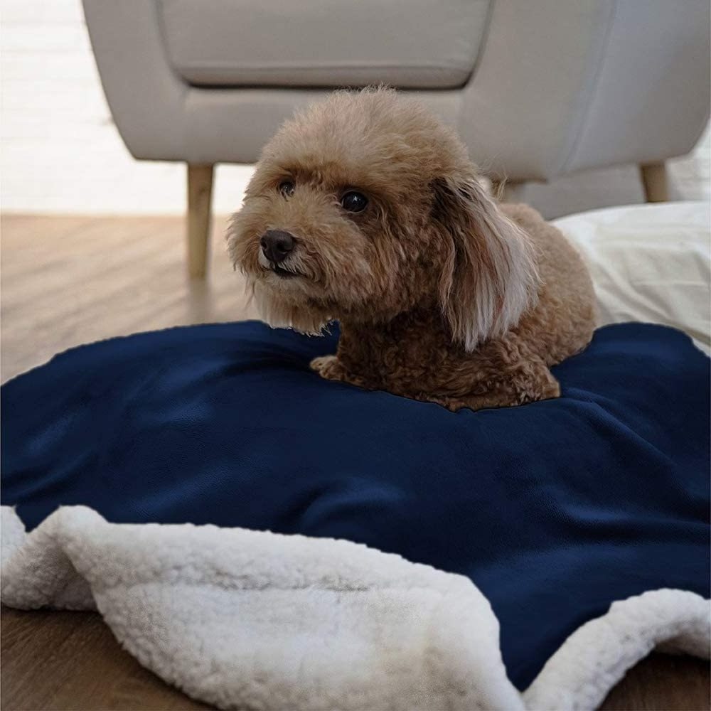 60 x 40 Inch Wholesale warm premium custom plush pet sleeping mat washable plain solid color waterproof pet blanket for dog cat