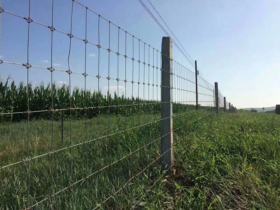 13 x 100m grassland fence galvanized wire mesh sheep cattle field fence roll