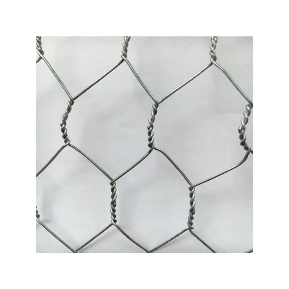 4 x 100 Agricultural net hot dipped galvanized hexagonal wire mesh