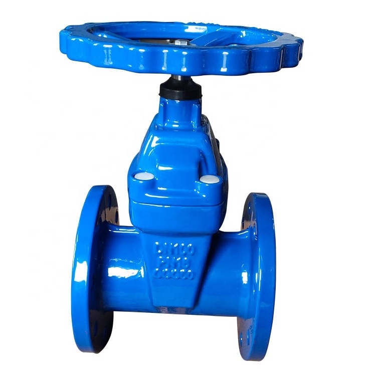 cast iron flange type dn40-dn1000 rubber lined gate valve price