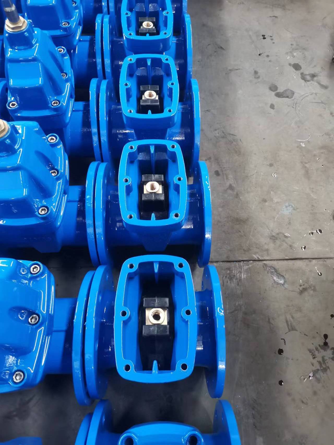 cast iron flange type dn40-dn1000 rubber lined gate valve price