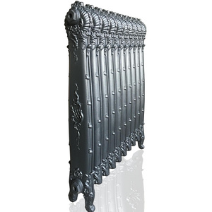 Antoinette cast iron radiator of BGL-990