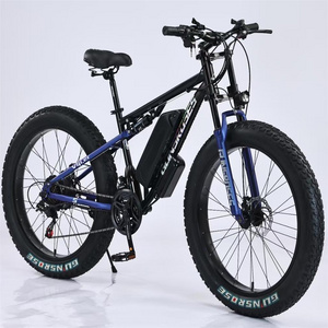 New Style 350W Fat Tire Electric Mountain Ebike/Snow Bike/Electric Bicycle with CE