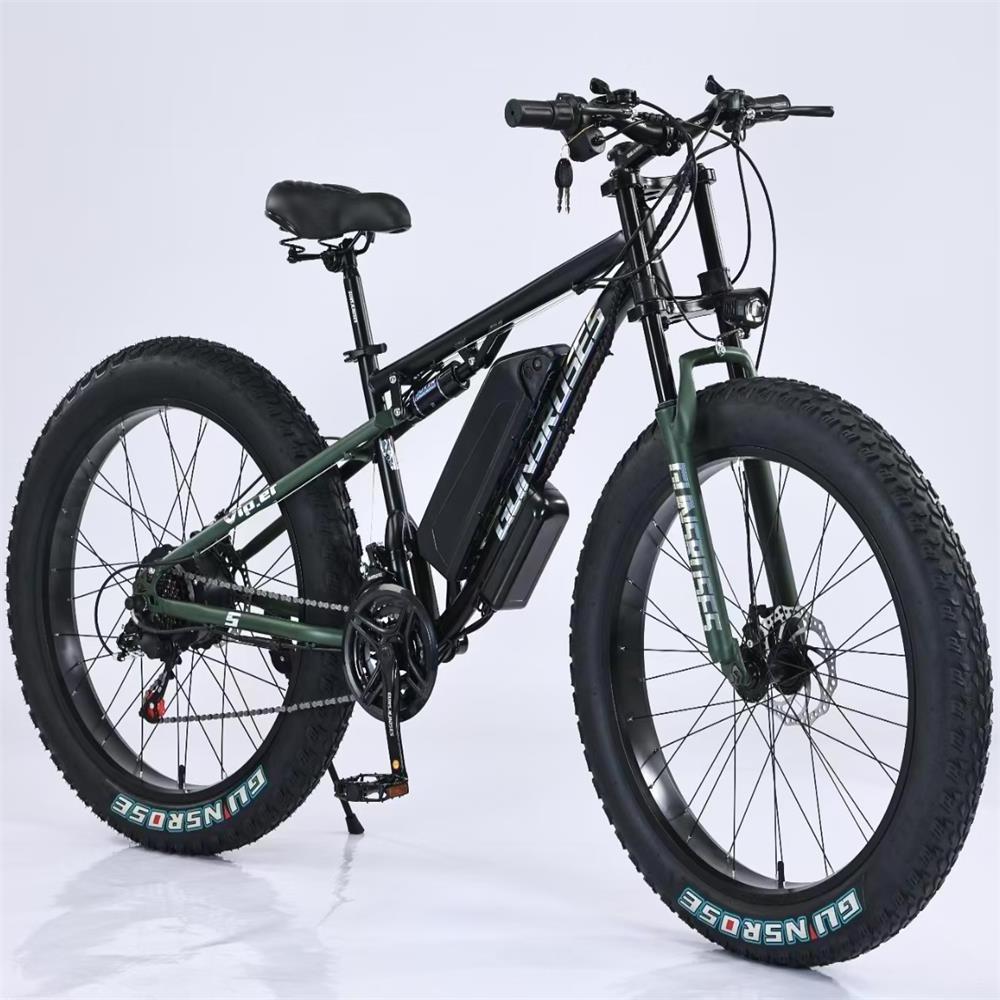 New Style 350W Fat Tire Electric Mountain Ebike/Snow Bike/Electric Bicycle with CE