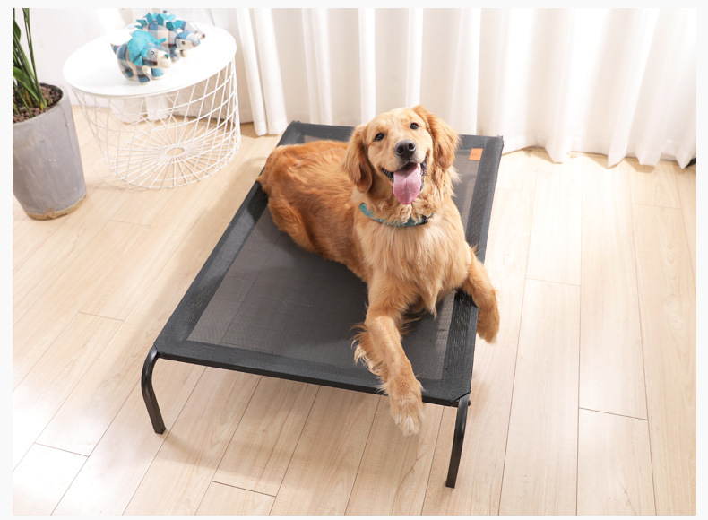 Basics Custom summer  cooling elevated pet bed Breathable raised outdoor dog bed portable  camp dog bed  for dogs