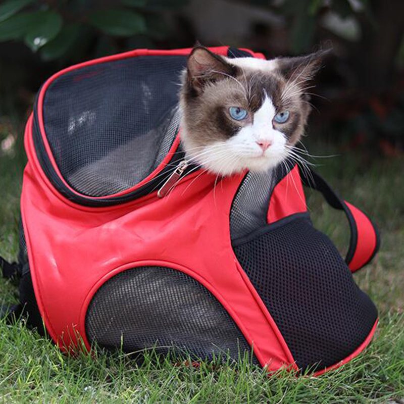 Wholesale Factory Manufacturer Bicycle Carrying Outdoor Travel Pet Dog Cat Bag Carrier Backpack