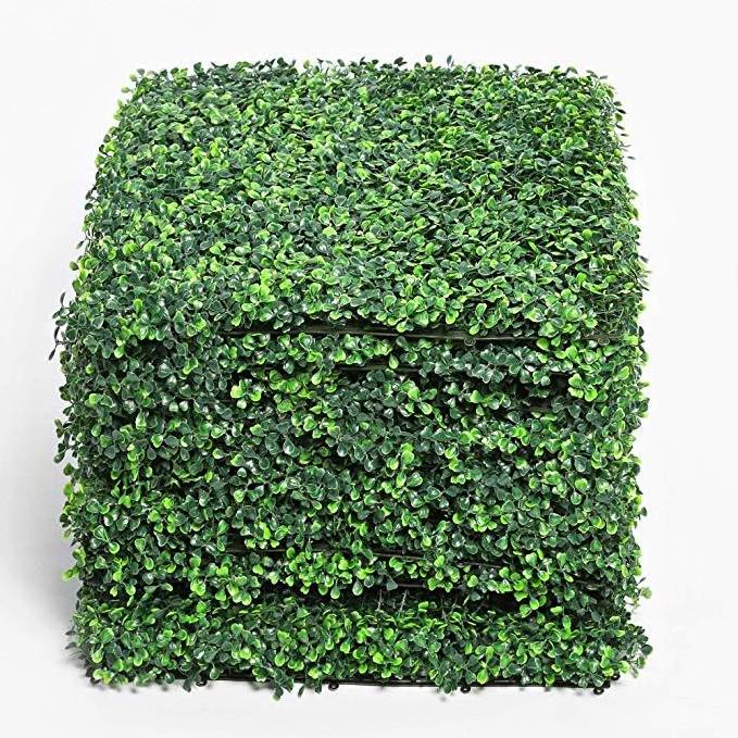 Artificial Boxwood Panel 20x20 Hedge Screening Artificial Topiary Hedge Green and Customized Plastic Grass 20-25 Days 3-4 Years